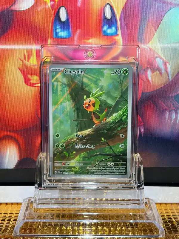 Chespin Illustration Rare Pokémon card 087/086 illustrated by Atsushi Furusawa