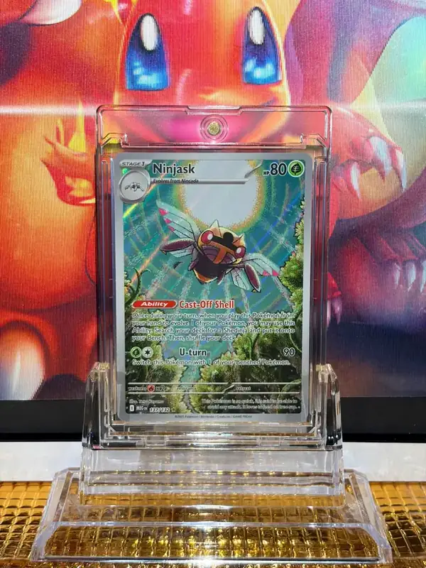 Ninjask Illustration Rare Pokémon card 137/132 illustrated by Tetsu Kayama