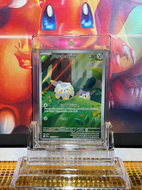 Togedemaru Illustration Rare Pokémon card 104/094 illustrated by Orca