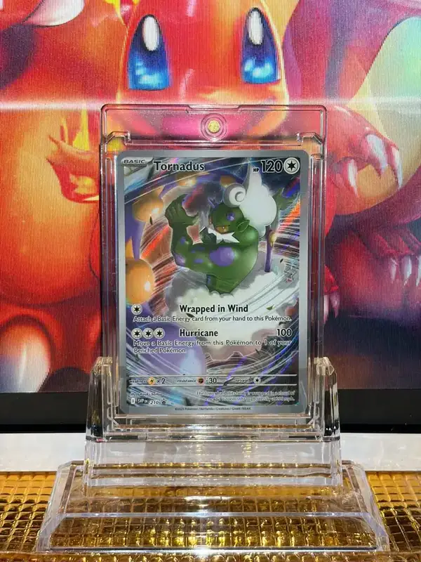 Tornadus Promo Rare Pokémon card 210 illustrated by Kouki Saitou